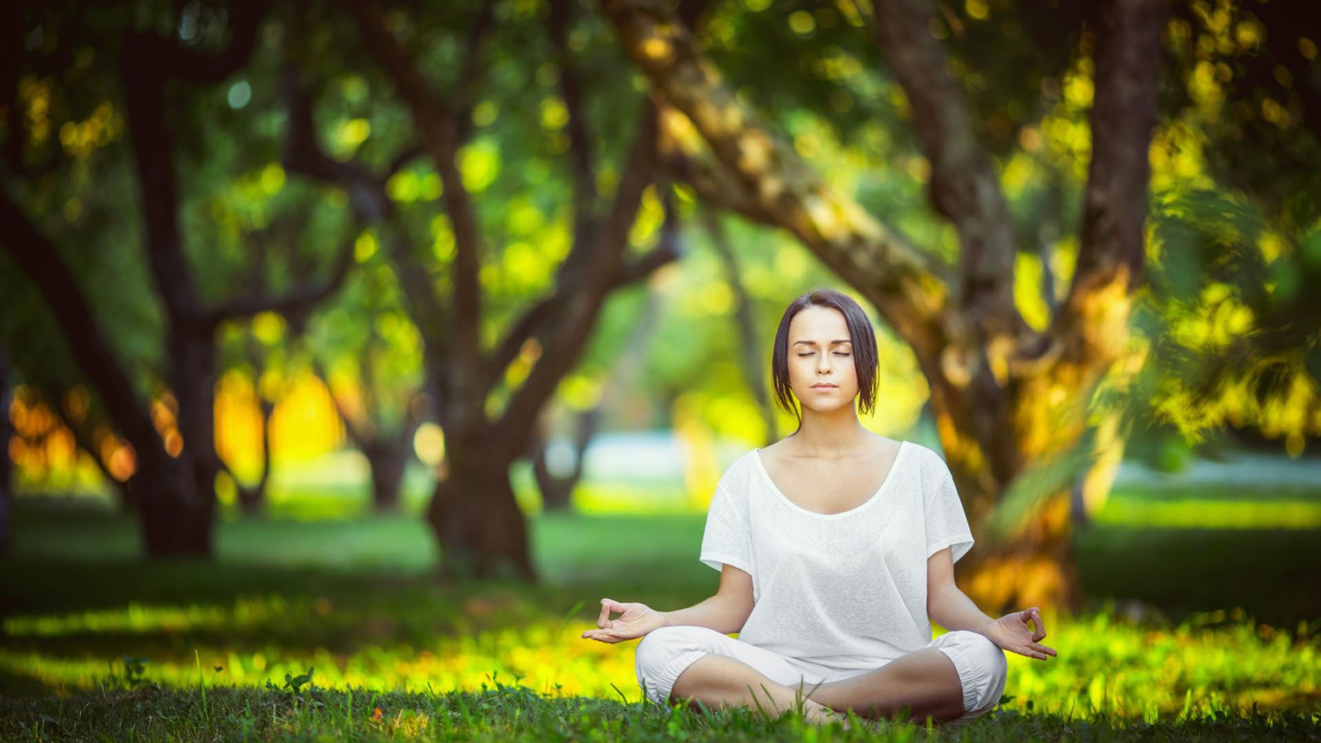 世界学生拳击技术对抗营：脚步与出拳配合获好评，世界拳击规则